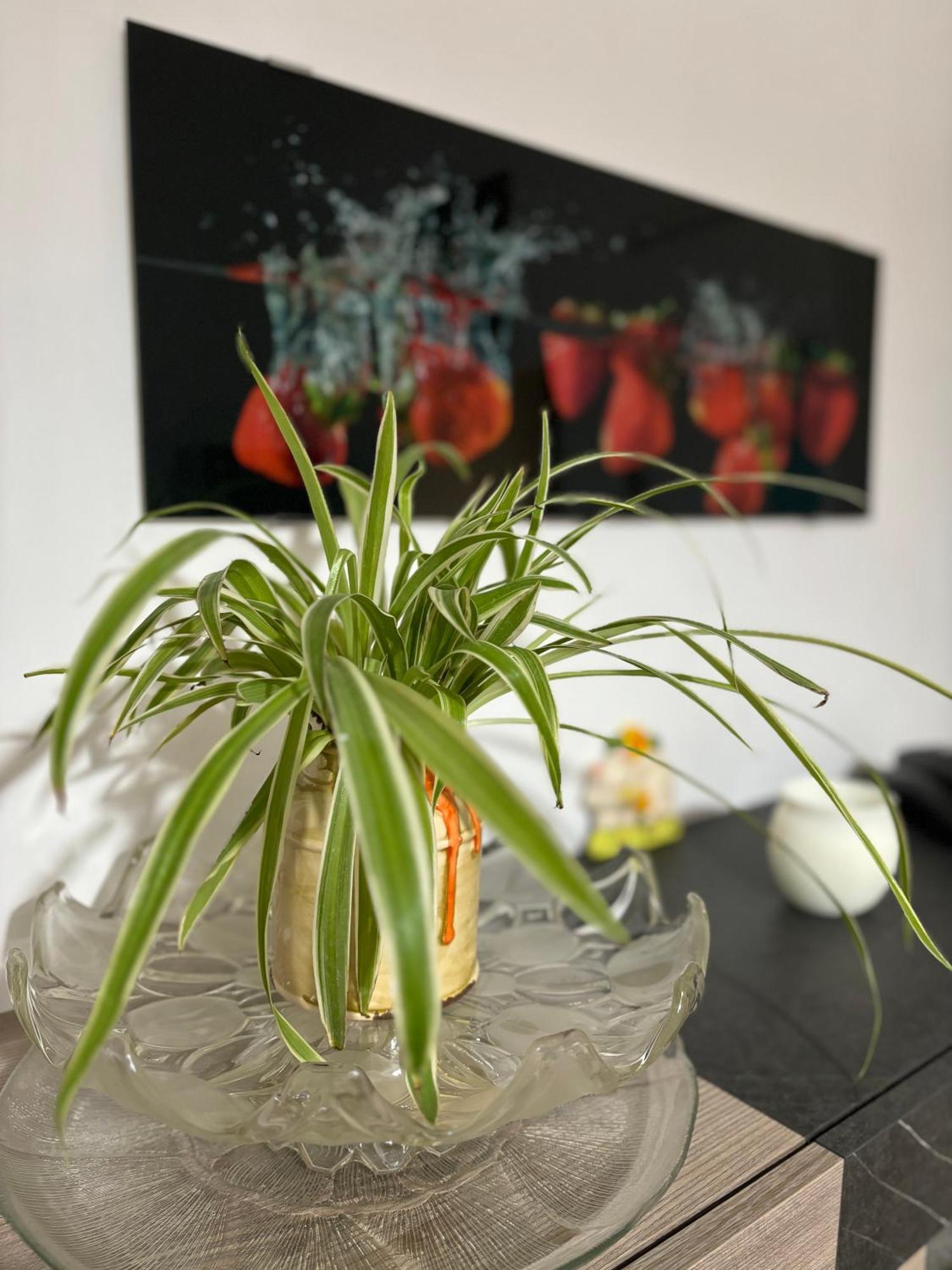 Vivi Aguilera Apartament Bologna Esterno foto